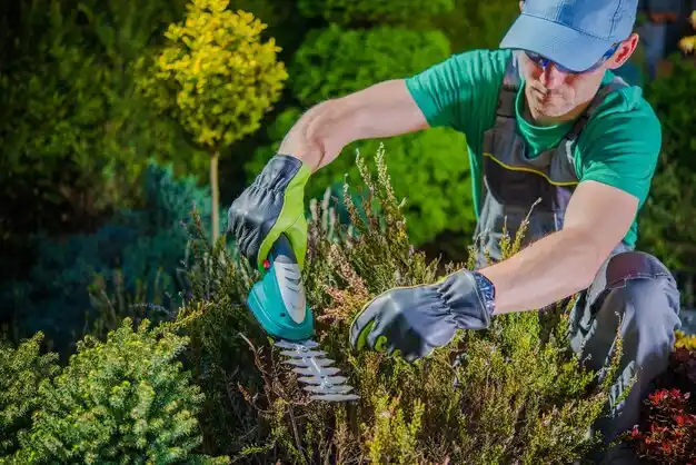 landscaping services Desloge